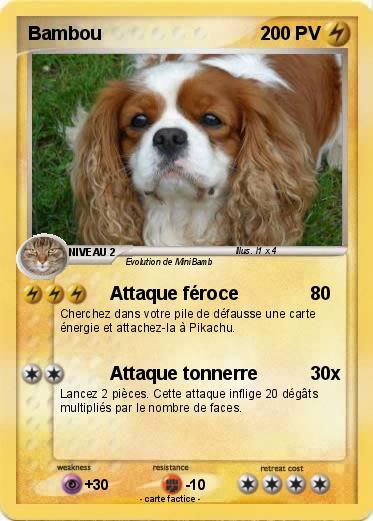 Pokemon Bambou