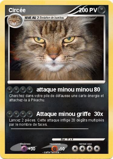 Pokemon Circée