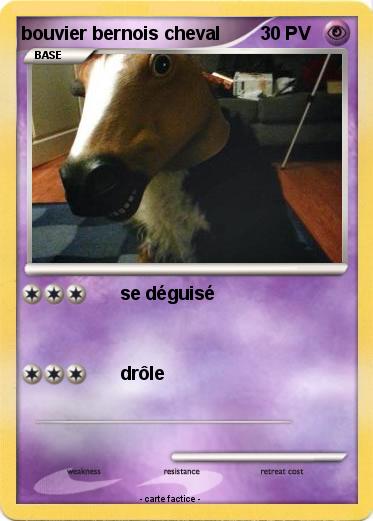 Pokemon bouvier bernois cheval