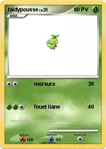 Pokemon taidypousse