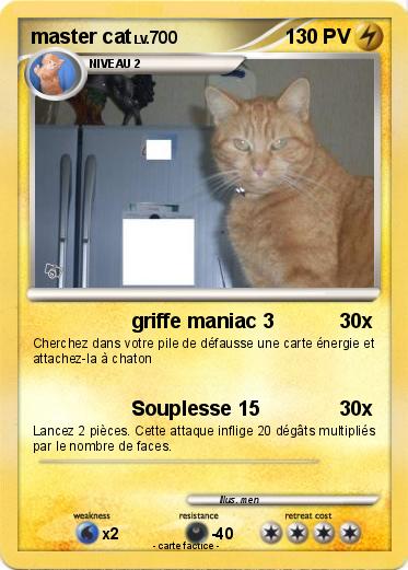 Pokemon master cat