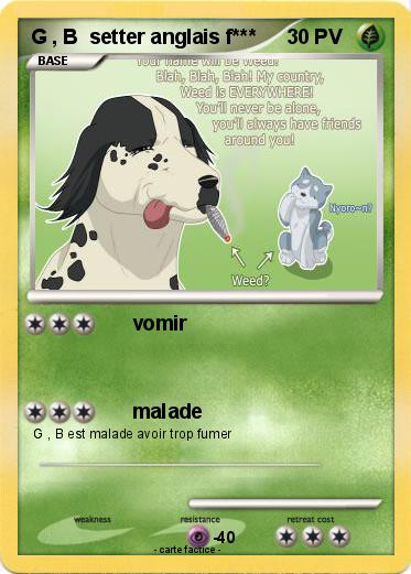 Pokemon G , B  setter anglais f***