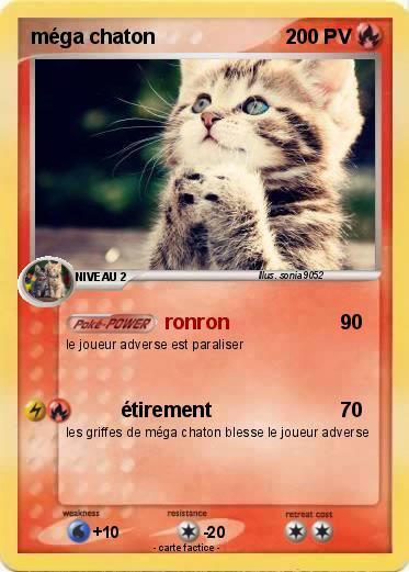 Pokemon méga chaton