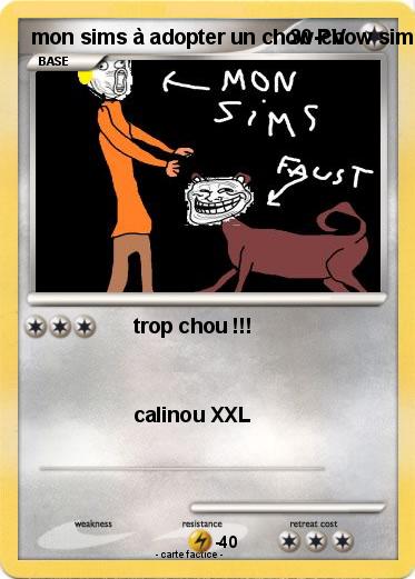Pokemon mon sims à adopter un chow-chow sims 3 animaux & cie 3ds