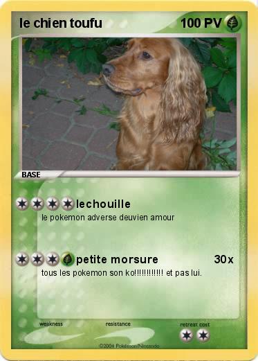 Pokemon le chien toufu