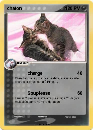 Pokemon chaton