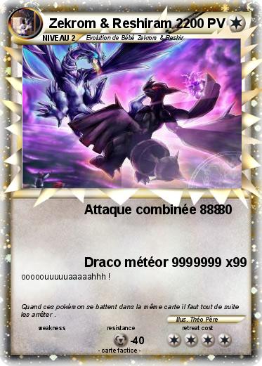Pokemon Zekrom & Reshiram 2