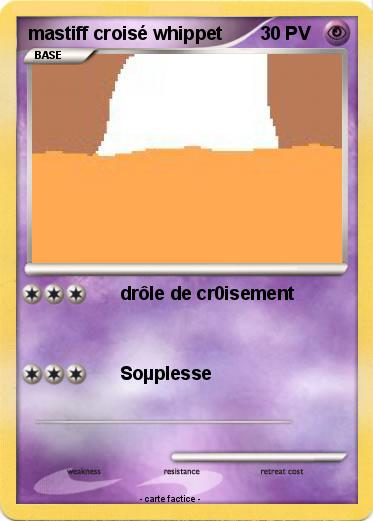Pokemon mastiff croisé whippet