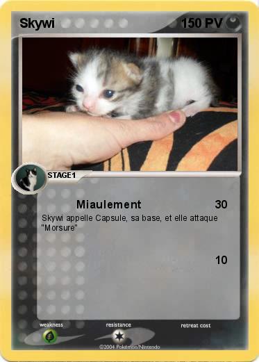 Pokemon Skywi