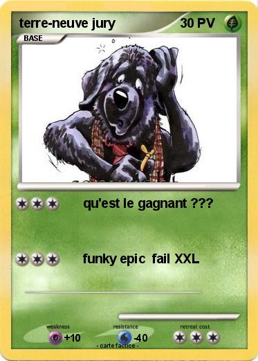 Pokemon terre-neuve jury