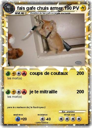 Pokemon fais gafe chuis armer