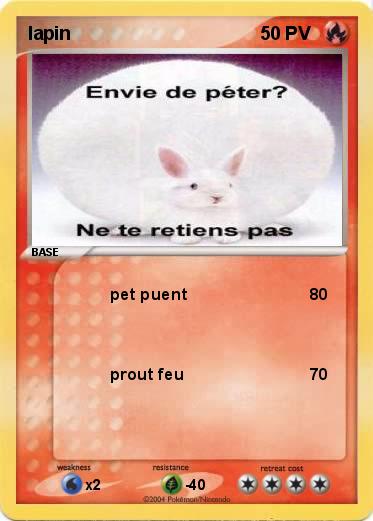 Pokemon lapin