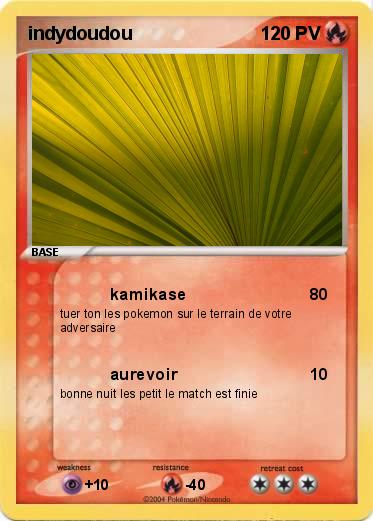 Pokemon indydoudou