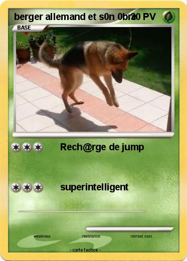 Pokemon berger allemand et s0n 0bre