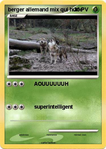 Pokemon berger allemand mix qui hurle