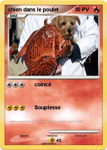 Pokemon chien dans le poulet