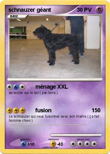 Pokemon schnauzer géant