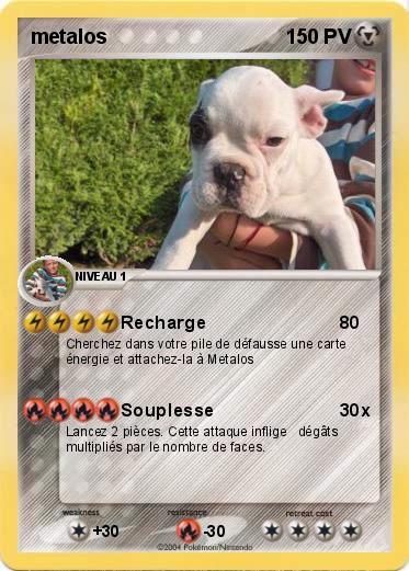 Pokemon metalos