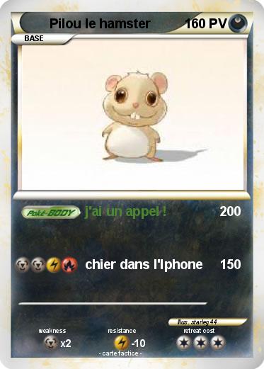 Pokemon Pilou le hamster