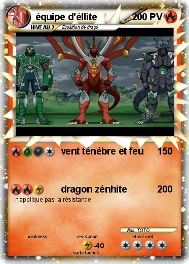 Pokemon équipe d'éllite