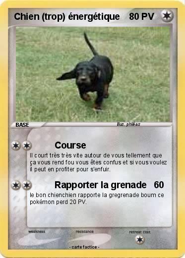 Pokemon Chien (trop) énergétique
