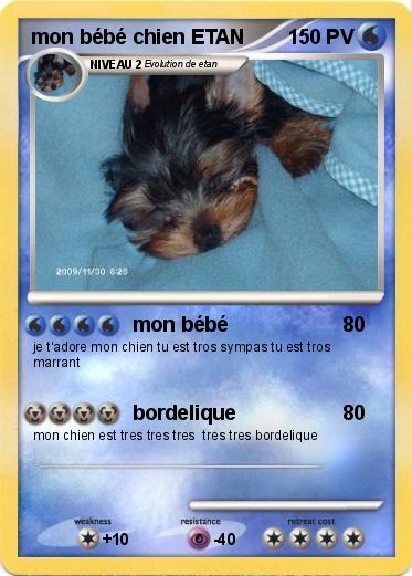Pokemon mon bébé chien ETAN