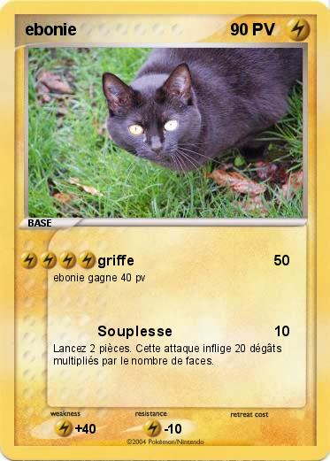 Pokemon ebonie