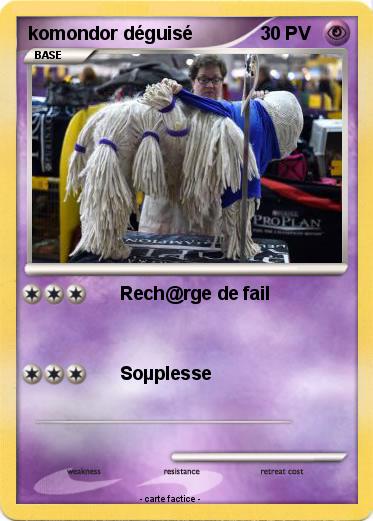Pokemon komondor déguisé