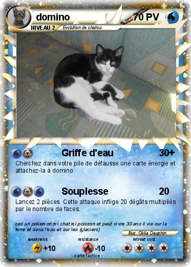 Pokemon domino