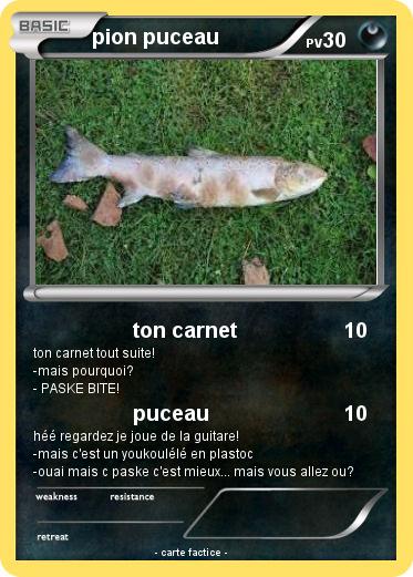 Pokemon pion puceau