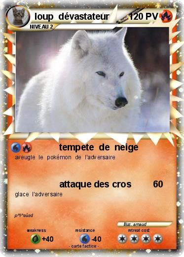Pokemon loup  dévastateur