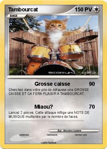 Pokemon Tambourcat