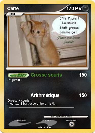 Pokemon Catte