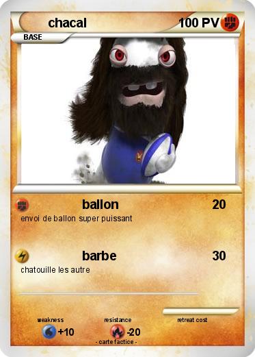 Pokemon chacal