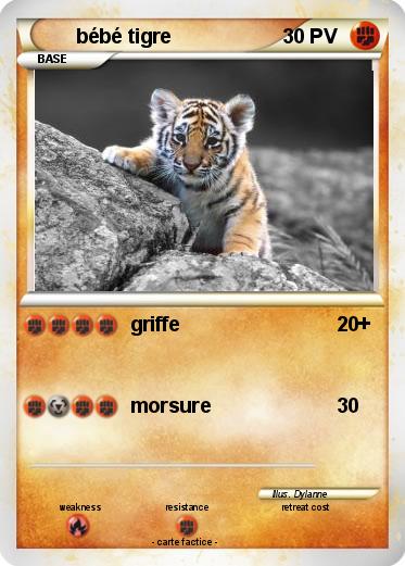 Pokemon bébé tigre