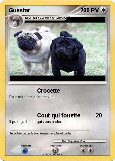 Pokemon Guestar