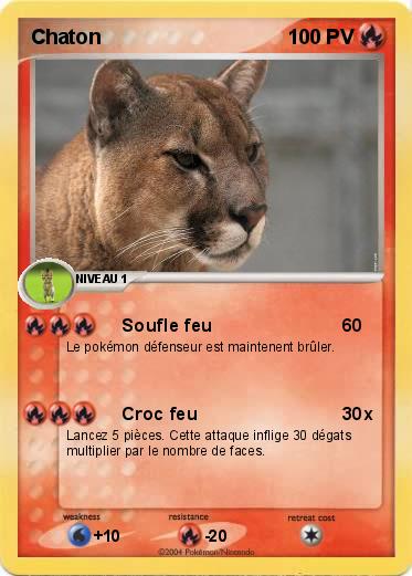 Pokemon Chaton