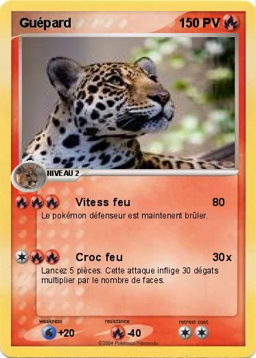 Pokemon Guépard