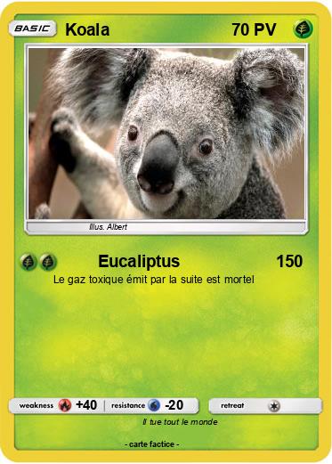 Pokemon Koala