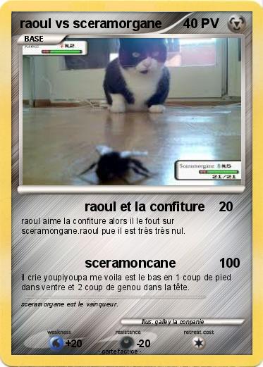 Pokemon raoul vs sceramorgane