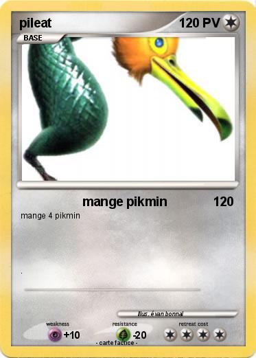Pokemon pileat