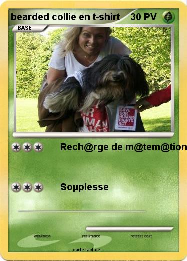 Pokemon bearded collie en t-shirt