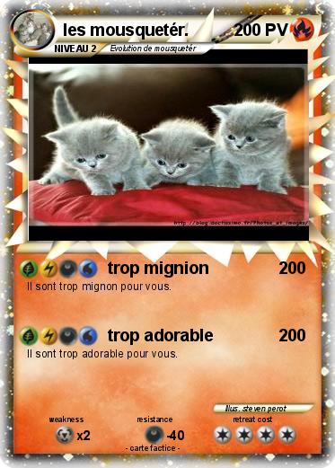 Pokemon les mousquetér.