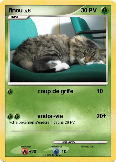Pokemon finou