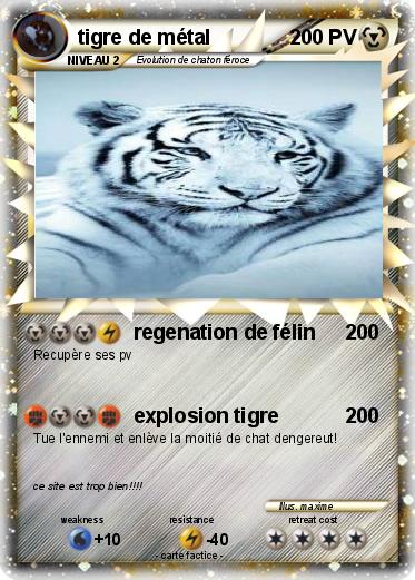 Pokemon tigre de métal