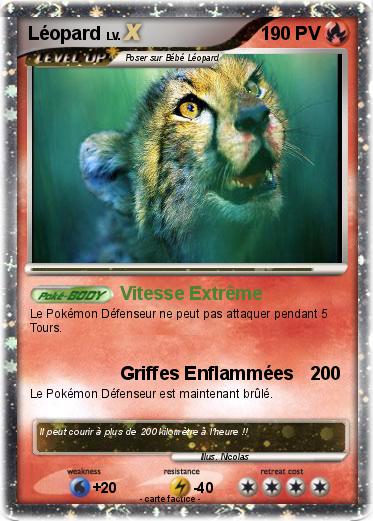 Pokemon Léopard
