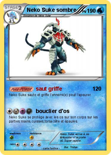 Pokemon Neko Suke sombre