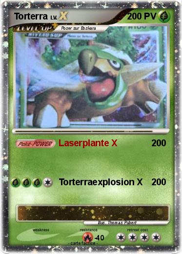 Pokemon Torterra