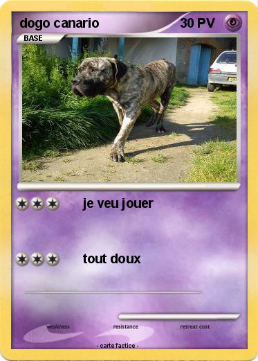 Pokemon dogo canario