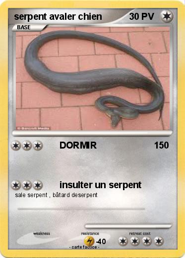 Pokemon serpent avaler chien